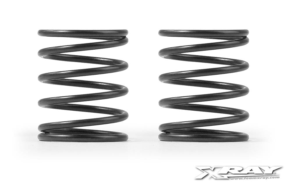 XRAY: XRAY 4S SPRING-SET C=2.5 (2)