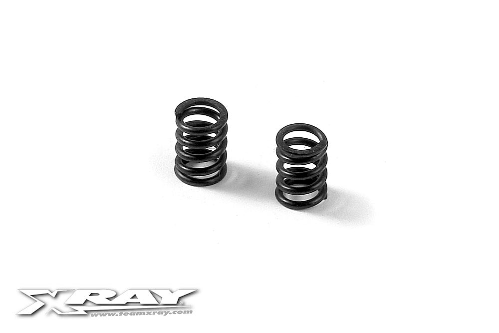 XRAY: BRAKE DISK SPRING (2)